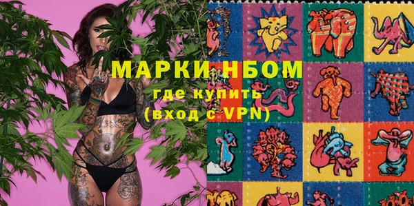 PSILOCYBIN Алзамай