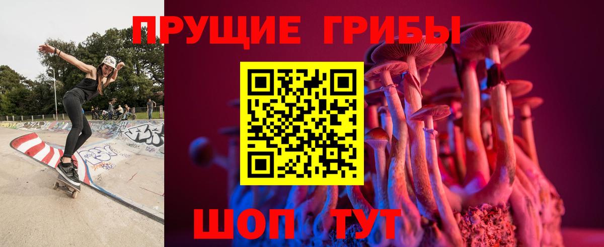 Галлюциногенные грибы Cubensis Рубцовск
