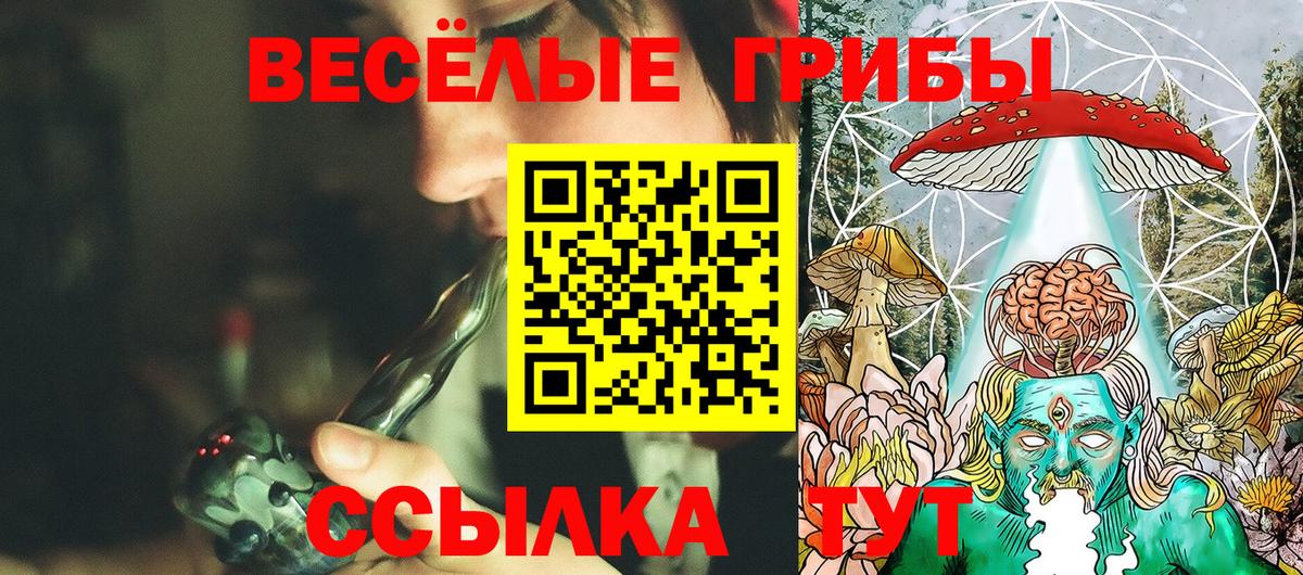 Псилоцибиновые грибы мухоморы  купить  сайты  Рубцовск  Вход с VPN 